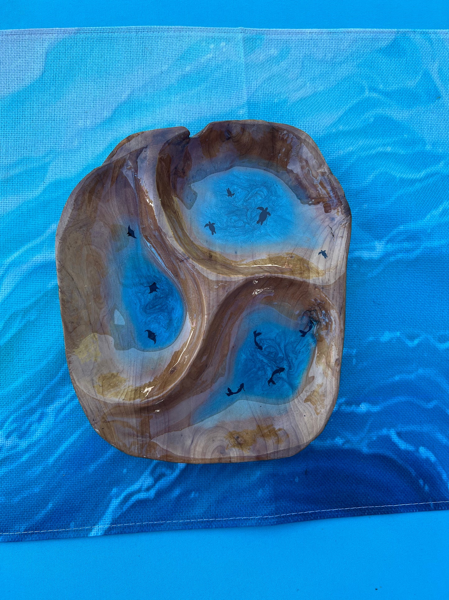 Discovery Cove Trio Bowl