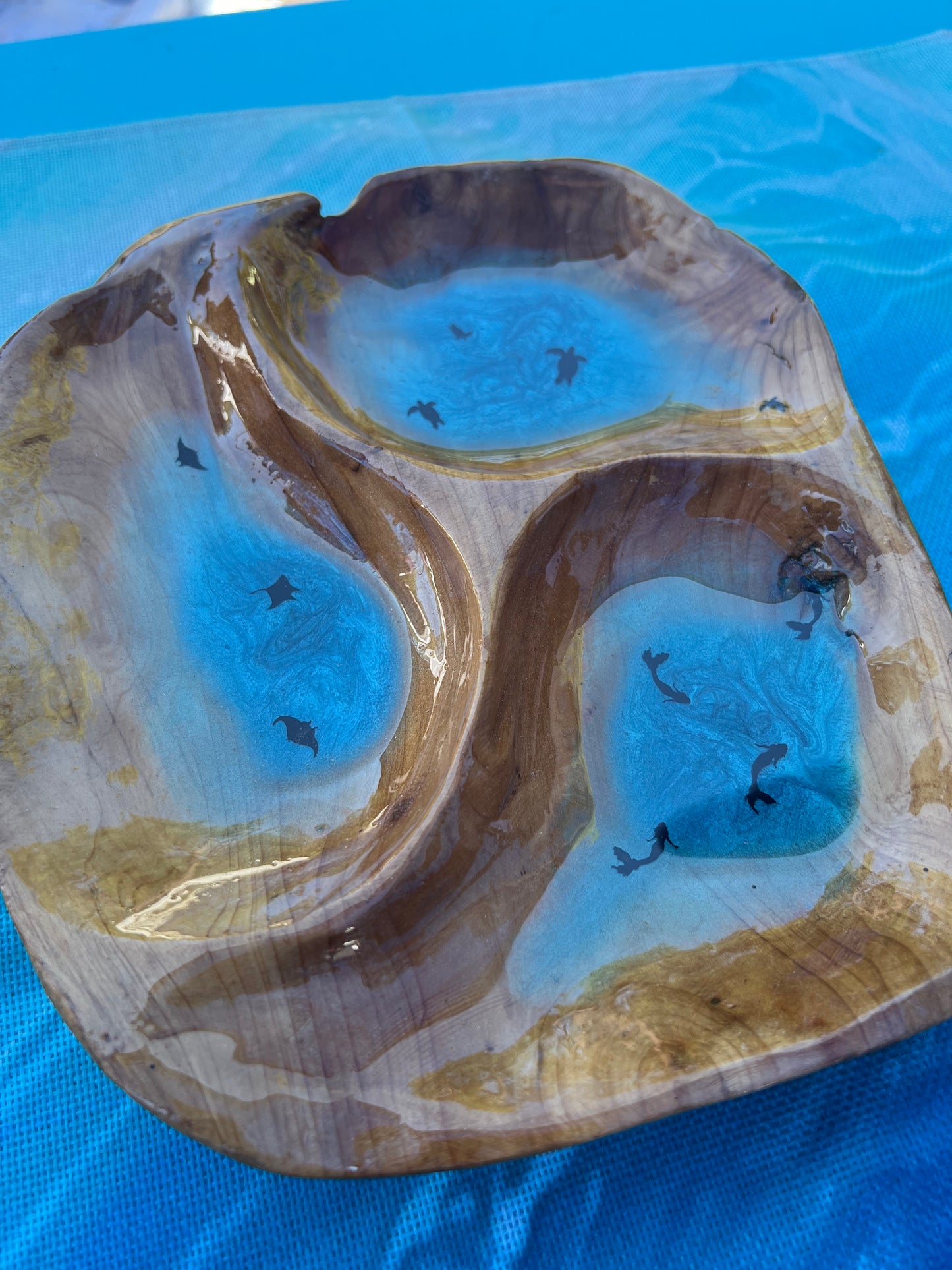 Discovery Cove Trio Bowl
